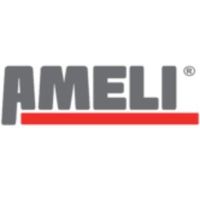 ameliconsulting