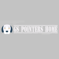 gspointershome