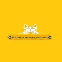 dreamschanuzer