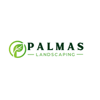 Palmas General
